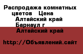 Распродажа комнатных цветов › Цена ­ 50 - Алтайский край, Барнаул г.  »    . Алтайский край